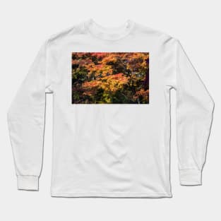 Maples in Glorious Autumn Colour Long Sleeve T-Shirt